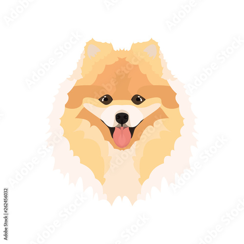 Illustration ChowChow