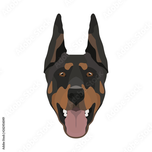 Illustration Dobermann
