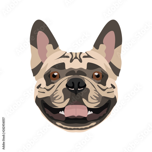 Illustration Französische Bulldogge