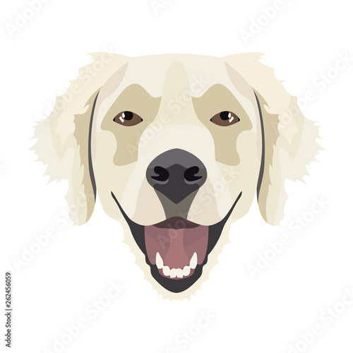 Illustration Golden Retriever