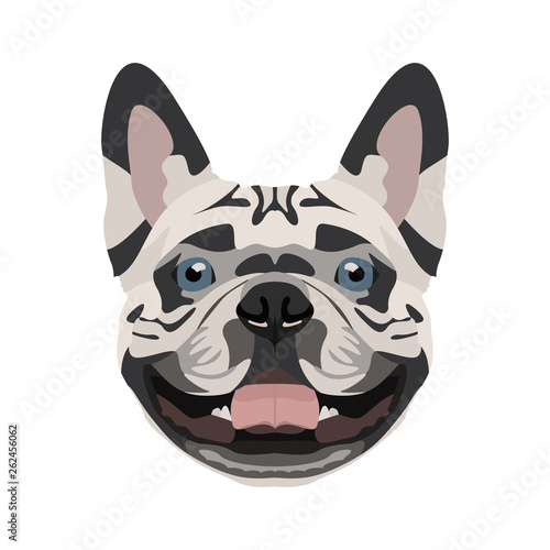 Illustration Französische Bulldogge