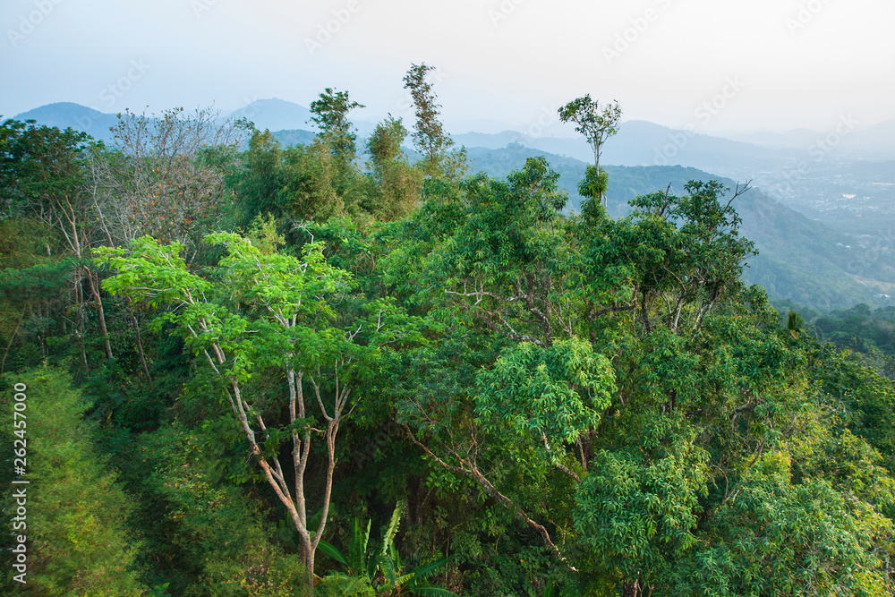 Fototapeta premium Fresh early morning in the jungle. Mountains and hills in the fog. Pastel colors of the sky. Tropical forest. Rainforest. 