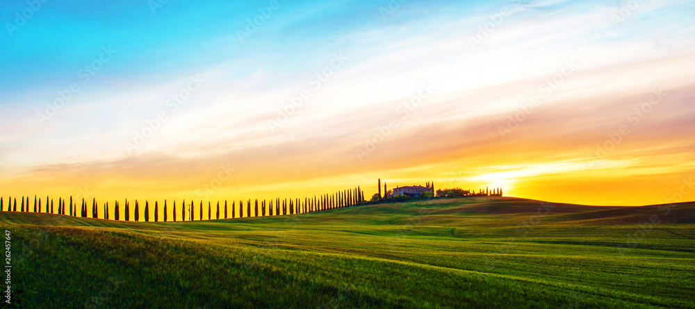 Beautiful magical landscape with a field and a line of cypress in Tuscany, Italy at sunrise