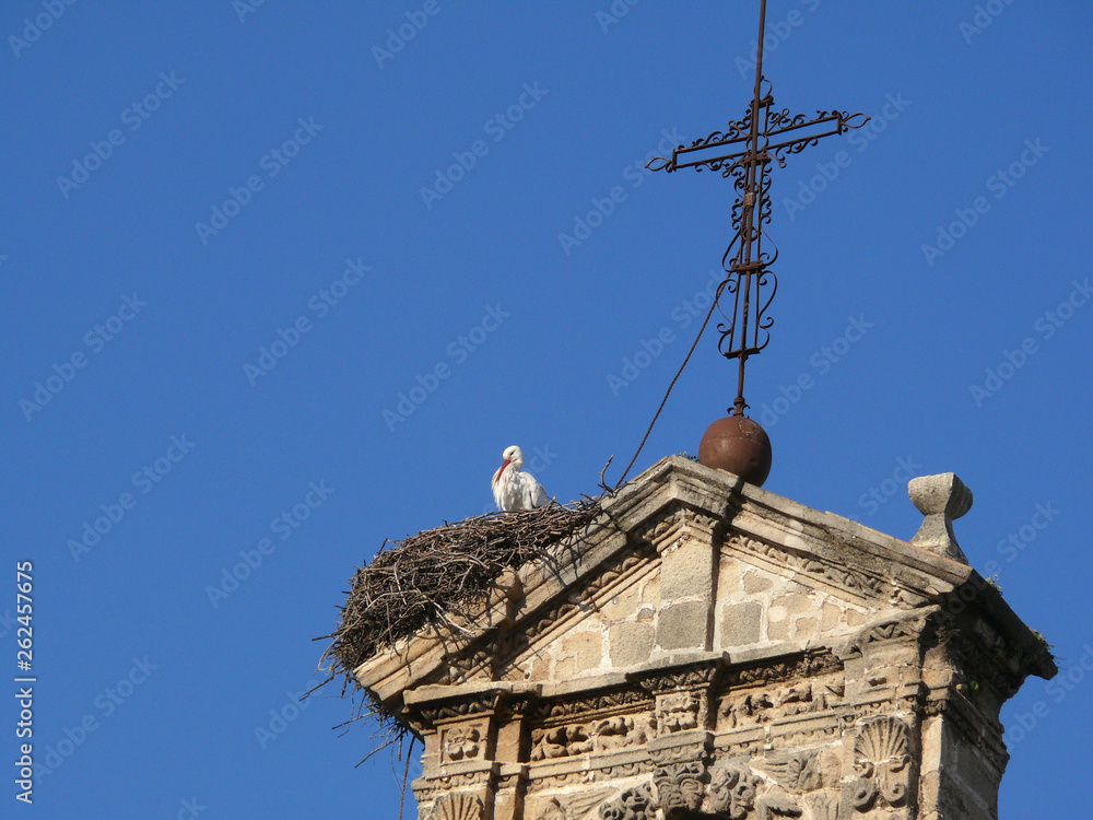 Nest of storks on the top of a bell tower. Jerez de la Frontera, Spain. Nest of storks on the top of a bell tower. Jerez de la Frontera, Spain.