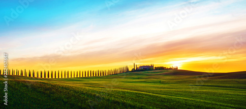 Beautiful magical landscape with a field and a line of cypress in Tuscany, Italy at sunrise photo