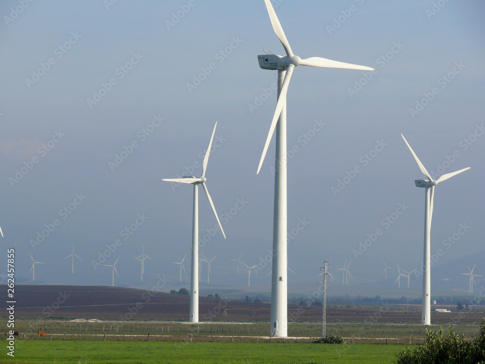 Jerez de la Frontera, Spain. Wind farm with high bladesw. Wind farm with high blades Jerez de la Frontera, Spain. Wind farm with high bladesw. Wind farm with high blades