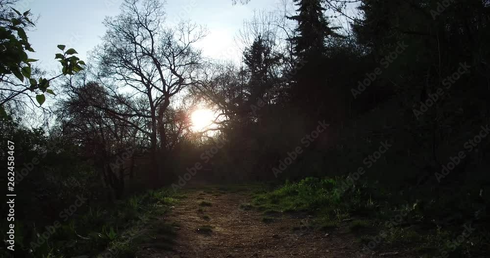 Path in the woods in the light of the sunset on the Gellert Hill in Budapest. Path in the woods in the light of the sunset on the Gellert Hill in Budapest.