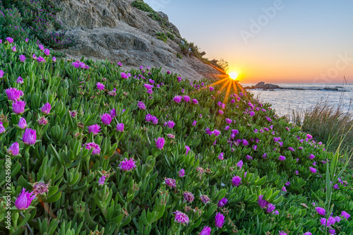 Amanecer en Cala Estreta photo