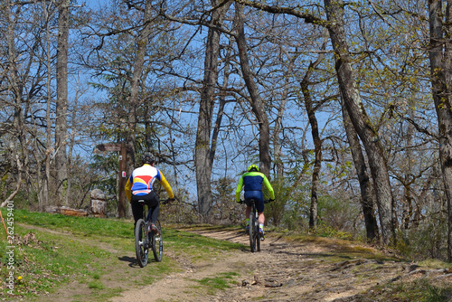 Course de VTT en forêt