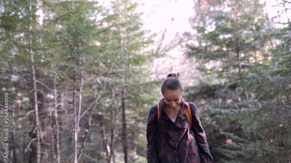 beautiful happy young woman plays with red dried leaves and throws them up. female hiker is walking in a woods at warm autumn day beautiful happy young woman plays with red dried leaves and throws them up. female hiker is walking in a woods at warm autumn day