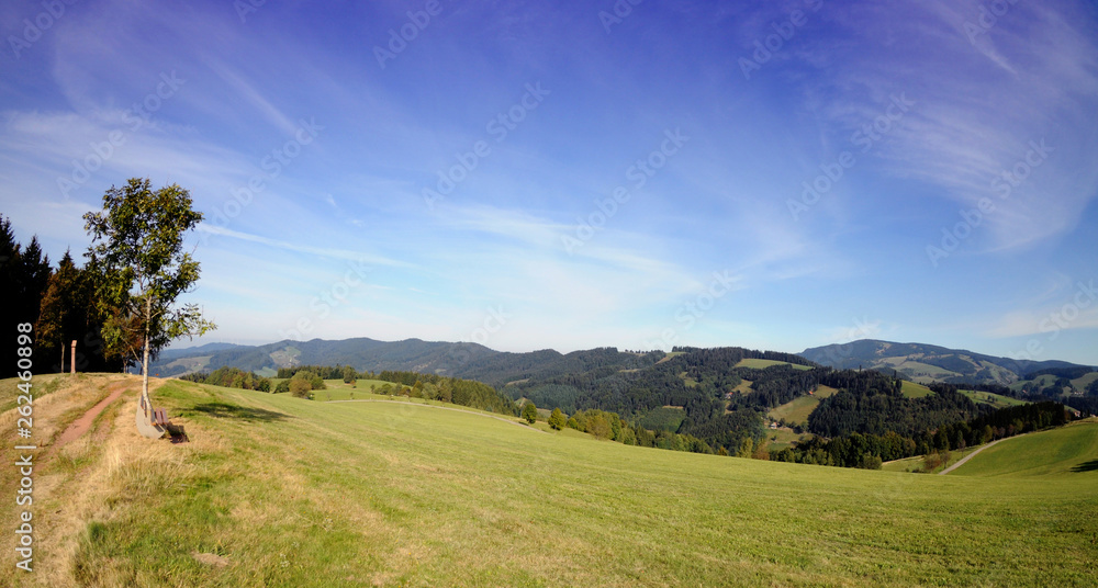 Wandern im Scharzwald