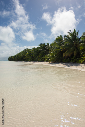 tropical beach