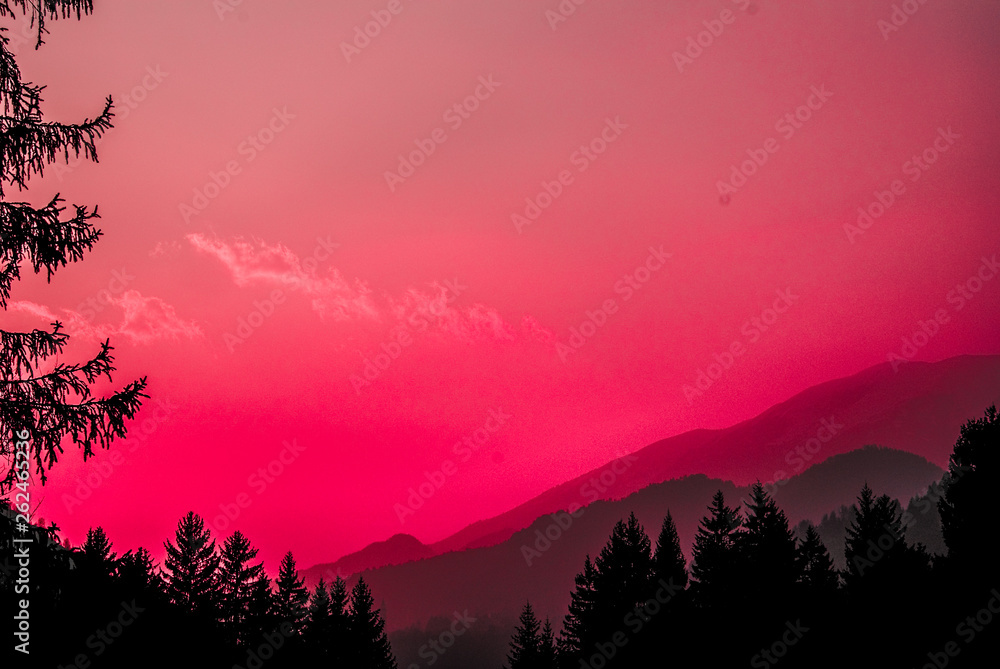 Fototapeta premium modded