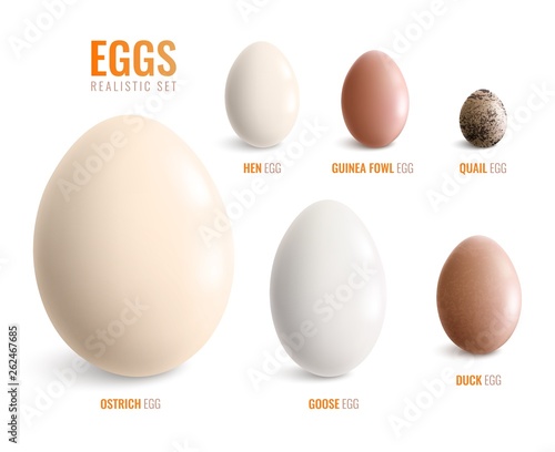Colored Realistic Eggs Icon Set