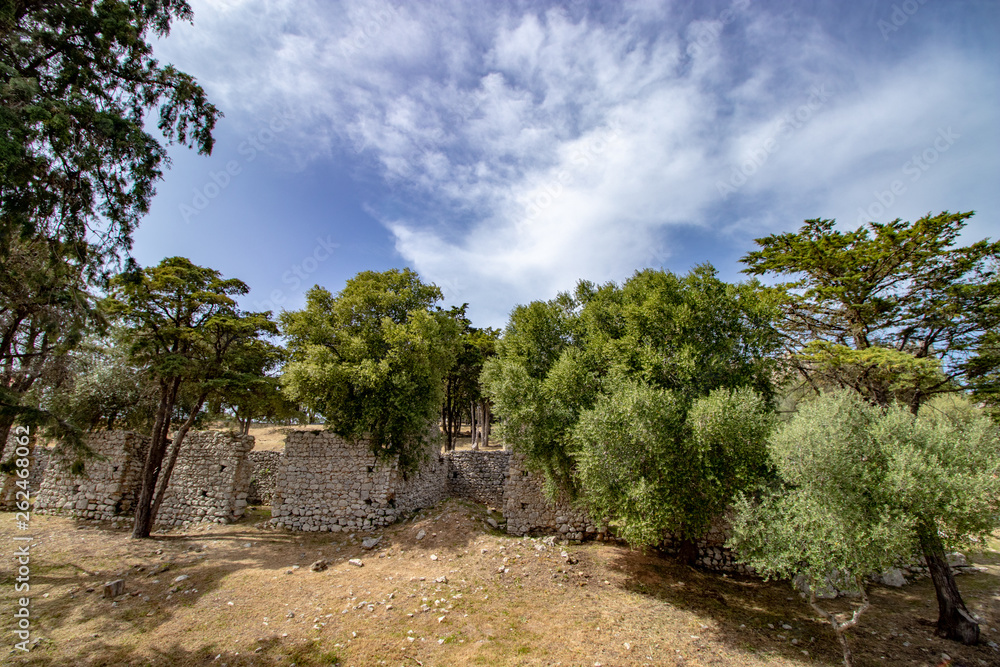 ruins and trees inside the castle, Sesimbra