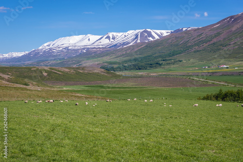 Rural landscape near Vikurskard pass in northe region of Iceland