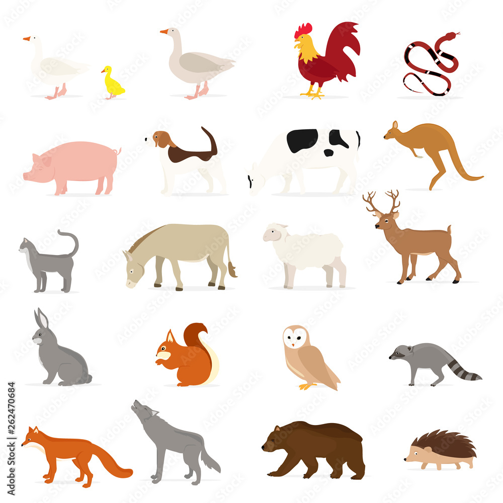 Obraz premium Vector animals collection