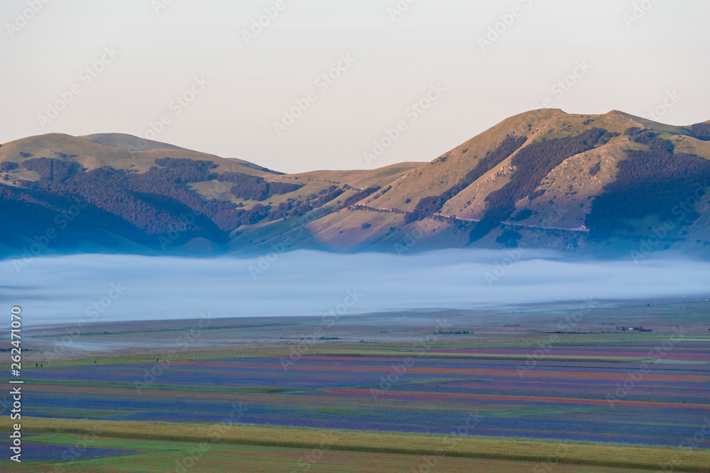 Plans Castelluccio in Italy