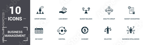Business Management set icons collection. Includes simple elements such as Expert Opinion, Loan Money, Budget Balance, Analytic Group, Budget Accounting, Control and Economy premium icons