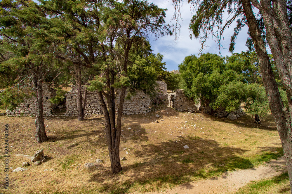ruins and trees inside the castle ruins and trees inside the castle