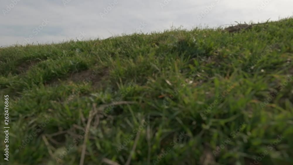 Summer sandy mountains and grass Summer sandy mountains and grass
