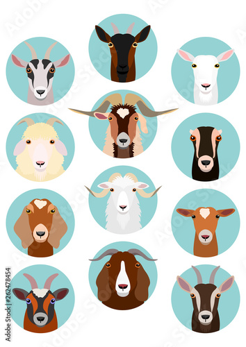 goat heads set
