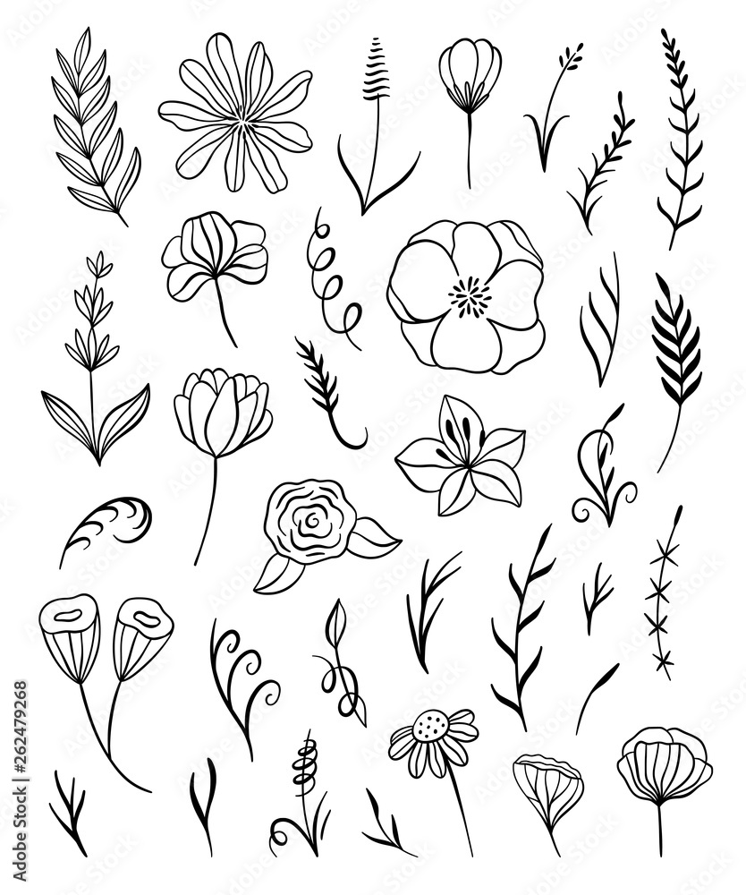 Flowers and leaves calligraphy vector illustration. Hand drawn