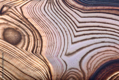 texture of agate light and dark brown structure