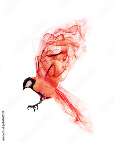 flying abstract red bird from smoke isolated on white © Alexander Potapov