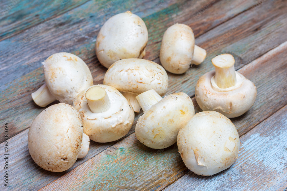 fresh raw mushrooms mushrooms on a wooden table close-up fresh raw mushrooms mushrooms on a wooden table close-up