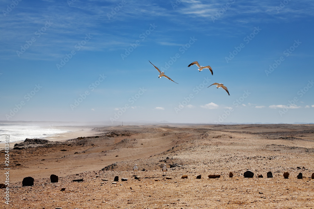 Skeleton Coast, Namibia
