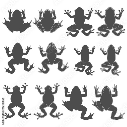 Set of black and white illustrations with tree and river frogs. Isolated vector objects on white background.
