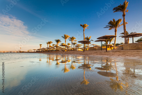 Beautiful sandy beach with palm trees at sunset. Egypt