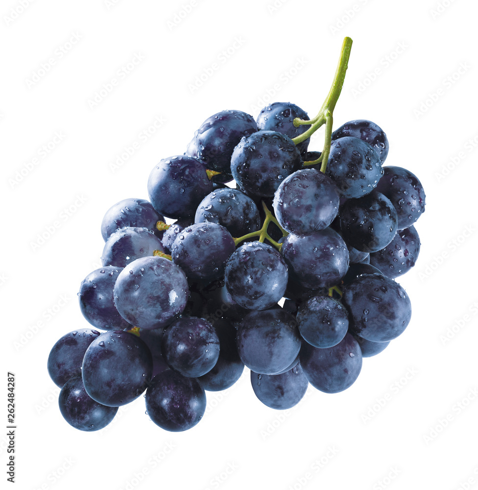 Fototapeta premium Blaue Weintrauben