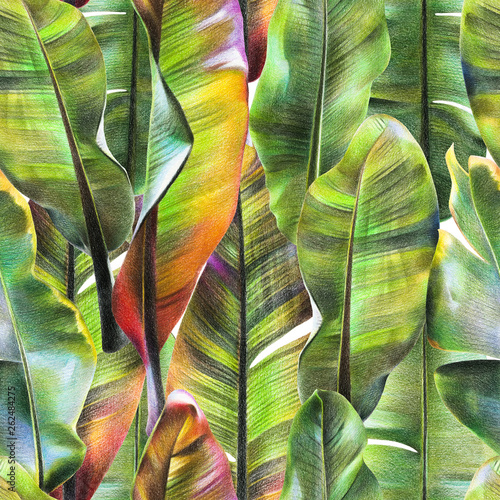 Watercolor seamless pattern with green tropical leaves of  banana. Summer background with exotic plants. Use in textiles, interior, wrapping paper and other design.