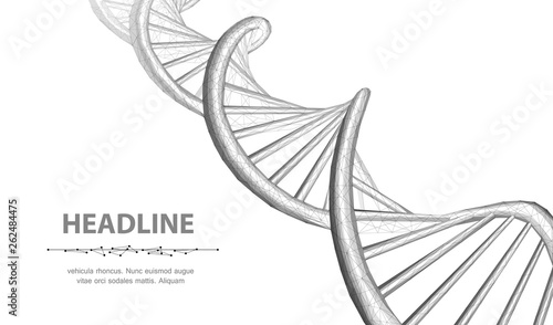 DNA. Abstract 3d polygonal wireframe dna molecule helix spiral on white background.