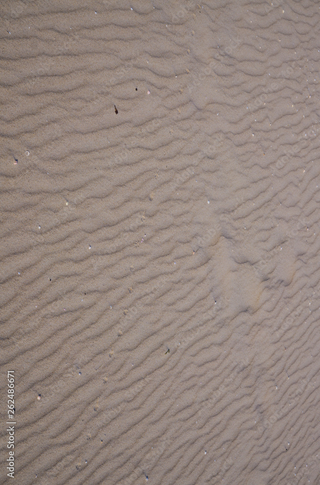 Obraz premium Traces from the waves in the sand on the beach of the Gulf of Riga.