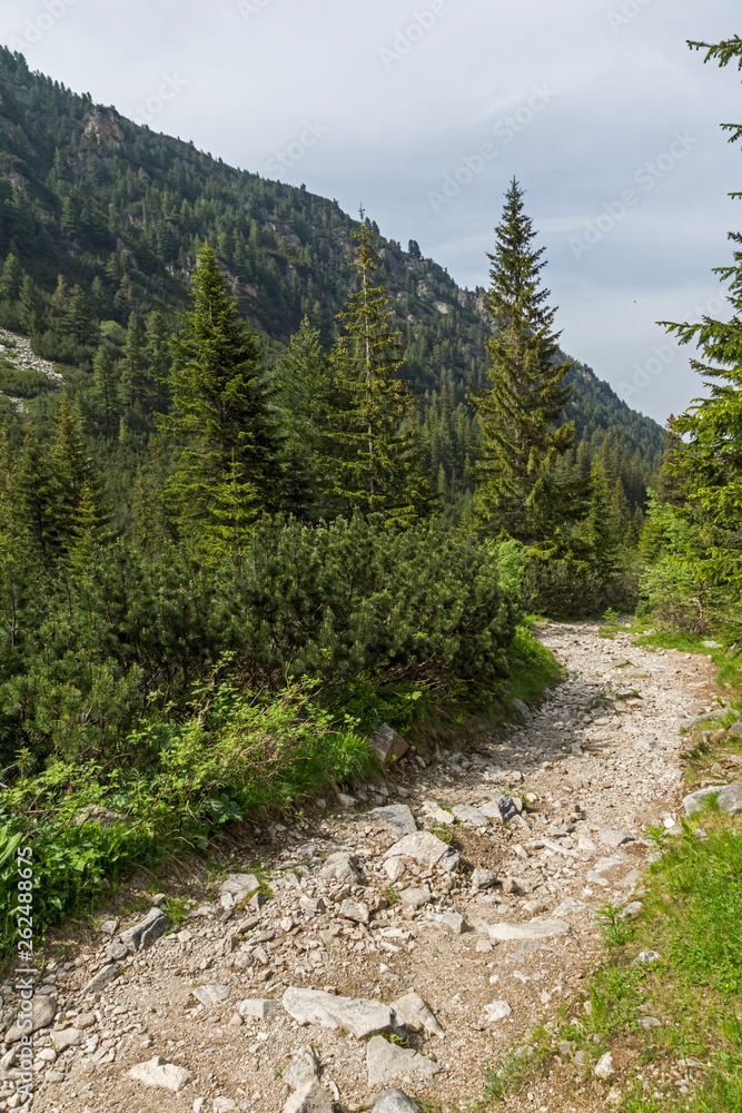 Landscape from hiking trail for Malyovitsa peak, Rila Mountain, Bulgaria Landscape from hiking trail for Malyovitsa peak, Rila Mountain, Bulgaria