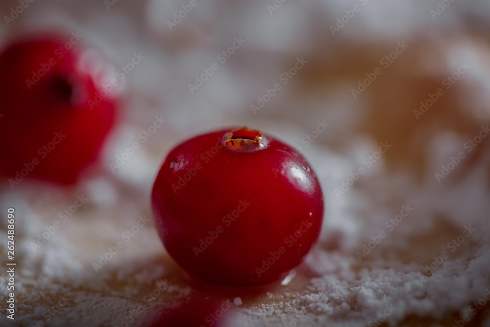 Frozen cranberries in sugar powder close up Frozen cranberries in sugar powder close up