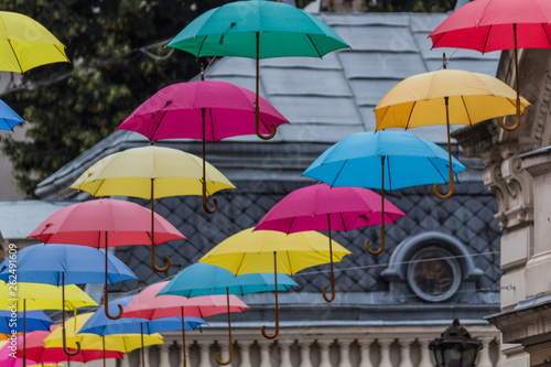 Umbrellas in the city
