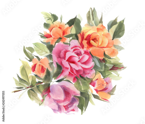 Watercolor flowers. Roses
