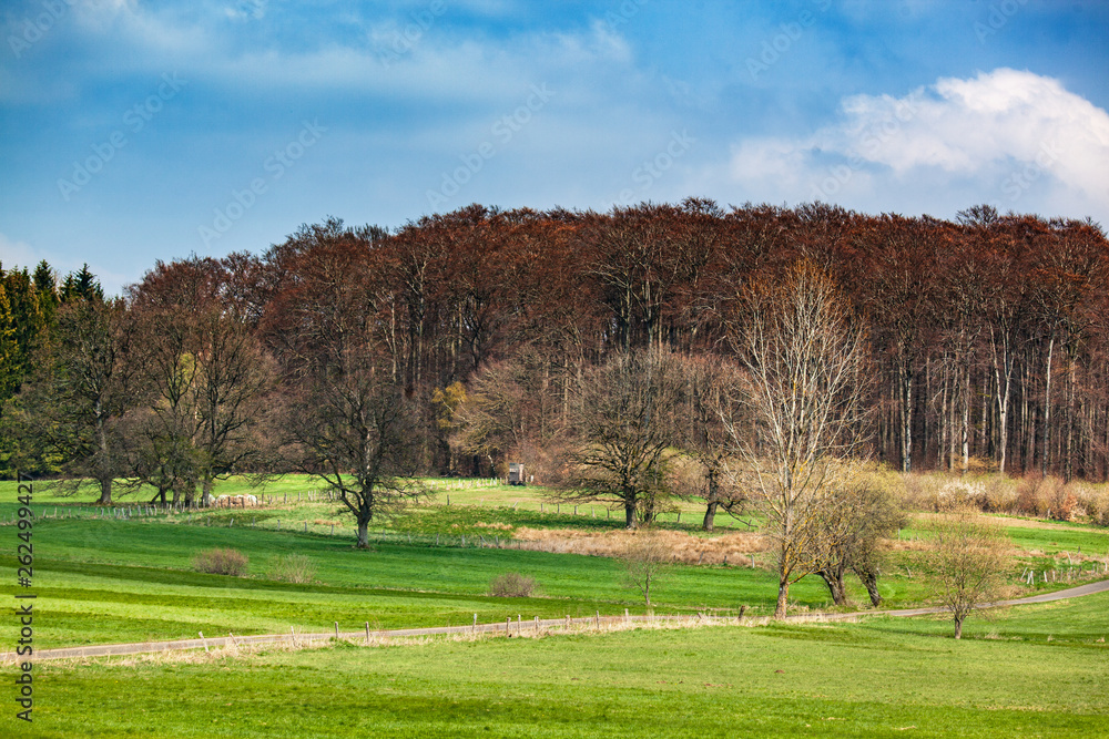 Landschaft im Westerwald, Deutschland Landschaft im Westerwald, Deutschland