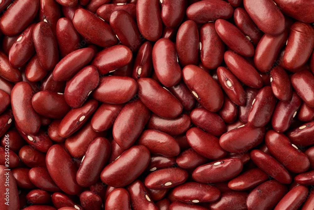 red bean are very useful red bean are very useful