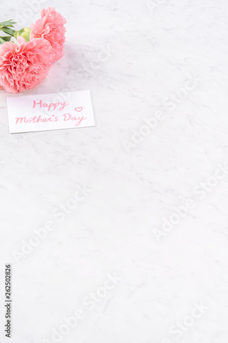 Copy space  close up  mock up  clipping path. Mothers day wording concept design. Beautiful fresh blooming baby pink color carnations isolated on bright marble background.