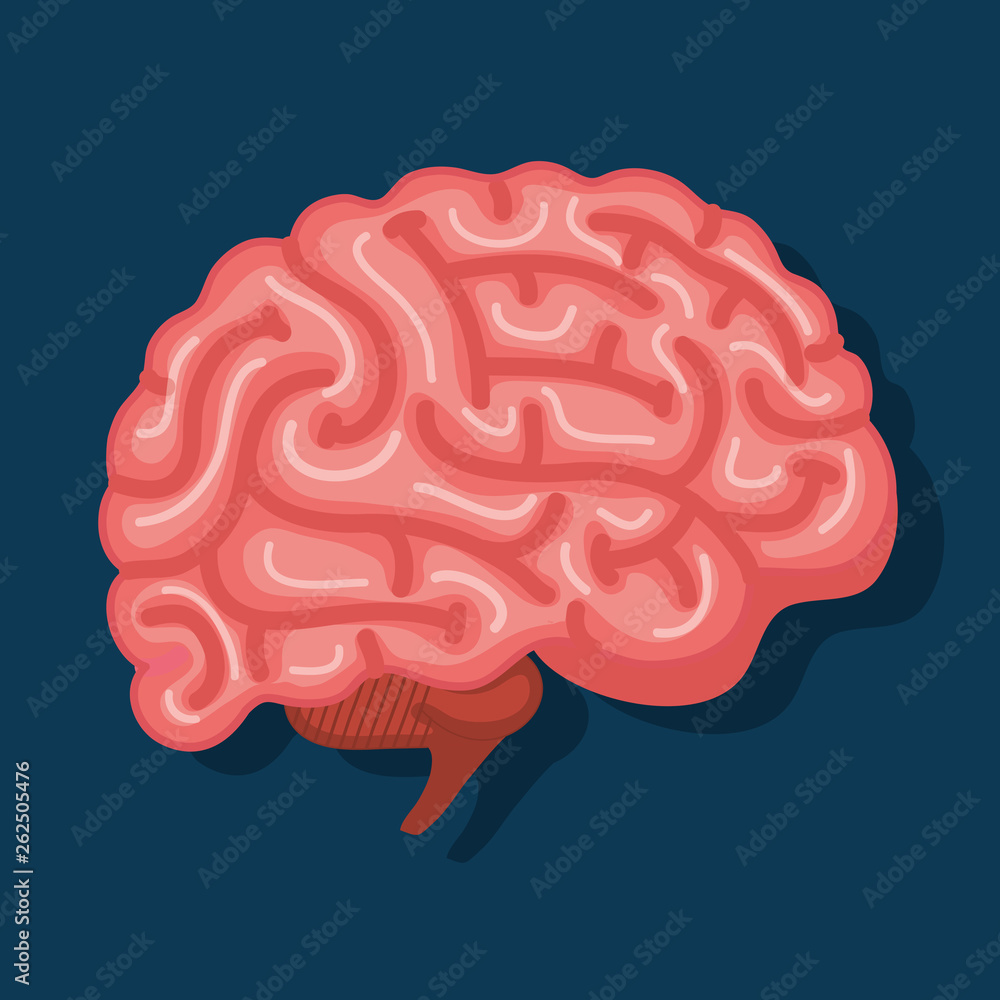 intelligence brain with memory and health creative intelligence brain with memory and health creative
