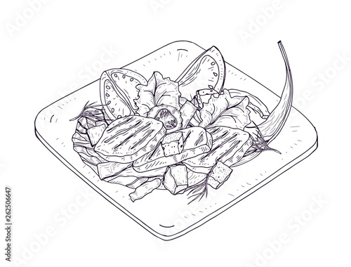 Caesar salad on plate hand drawn with contour lines on white background. Delicious restaurant meal made of chicken, lettuce leaves, fresh vegetables and croutons. Realistic vector illustration.