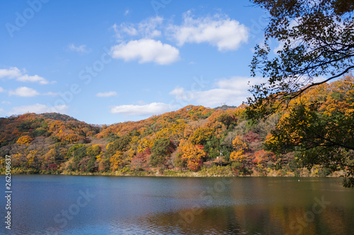 紅葉した山と湖 © utoi