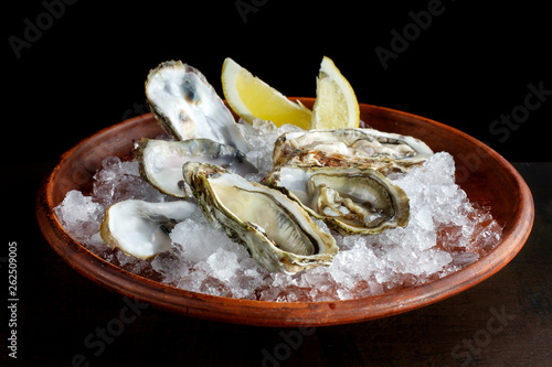 Fresh open oysters and lemon laid out on ice-2. photo