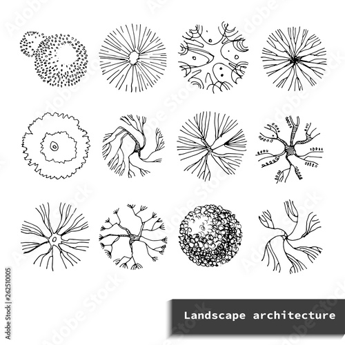 Top view vector set of different trees.Hand drawn illustration for landscape design, plan, maps.Collection of trees, isolated on the white background.Landscape architecture.