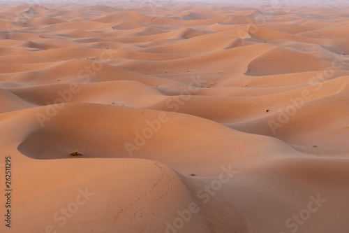 Sunrise on sand dunes  Sahara Sand dunes africa morocco